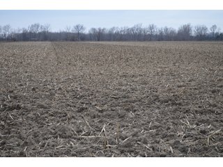 Property photo 49 - 175 Acres Offered in 5 Tracts - Tontogany, Ohio Farm Land Auction